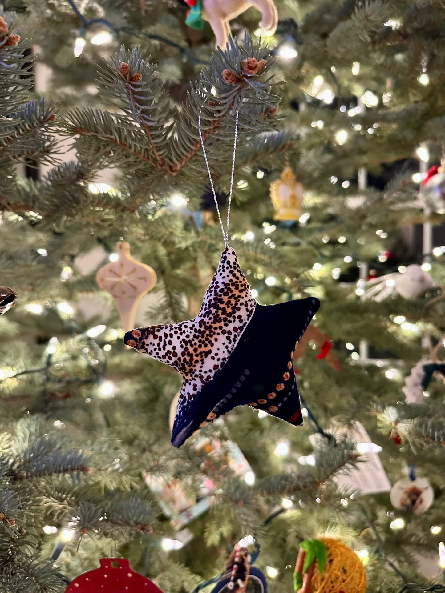 Star Ornament